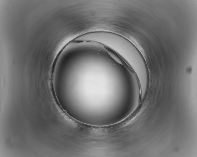 X0000091300901200708101305