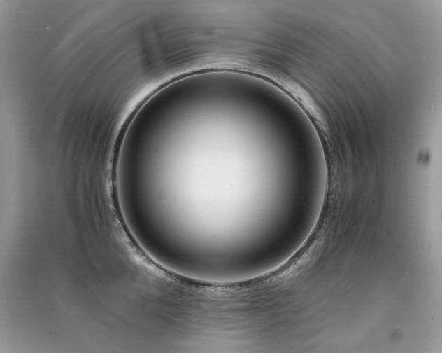 X0000091300904200708101305