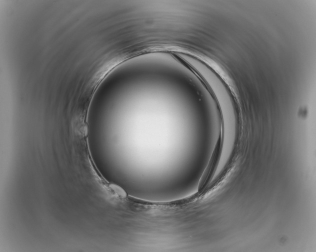 X0000091300905200708101305