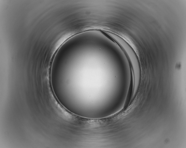 X0000091300906200708101305