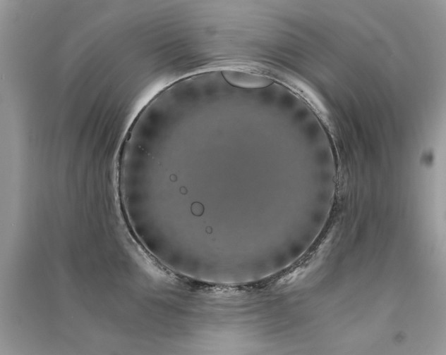 X0000091300907200708101305