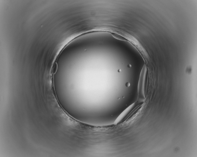 X0000091300908200708101305