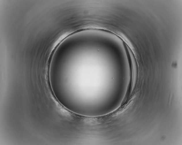 X0000091300909200708101305