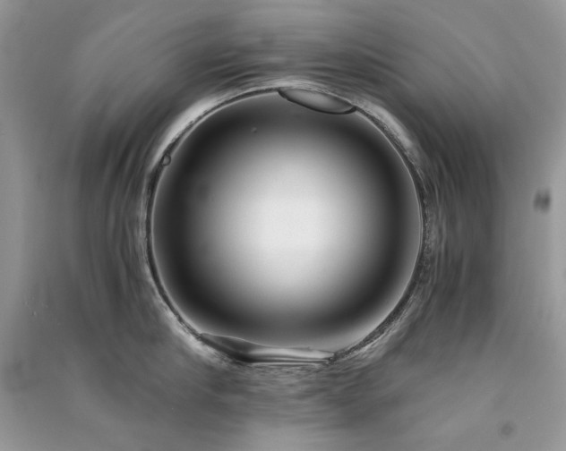 X0000091300910200708101305