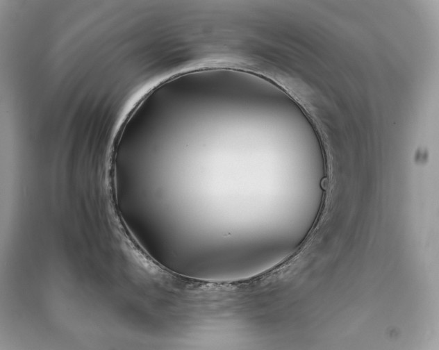 X0000091300912200708101305