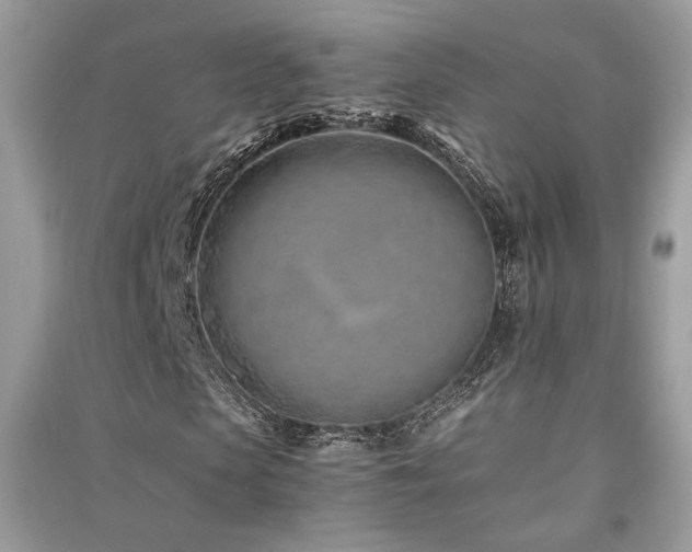 X0000091300913200708101304