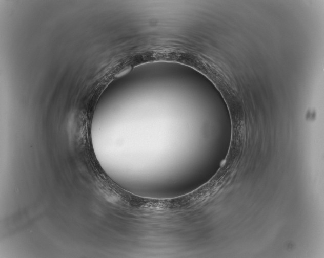 X0000091300914200708101304