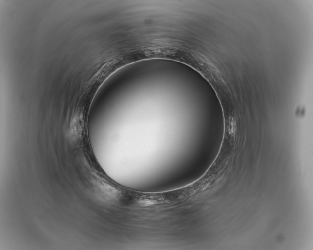 X0000091300915200708101304