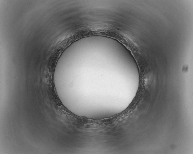X0000091300917200708101304
