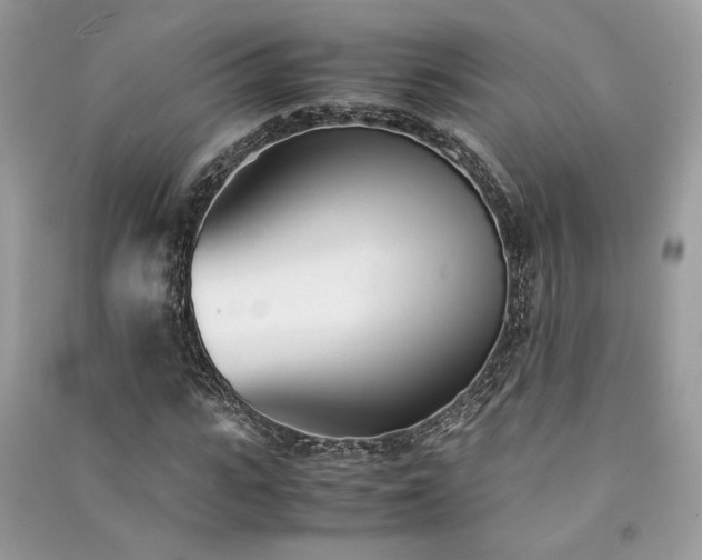 X0000091300919200708101304