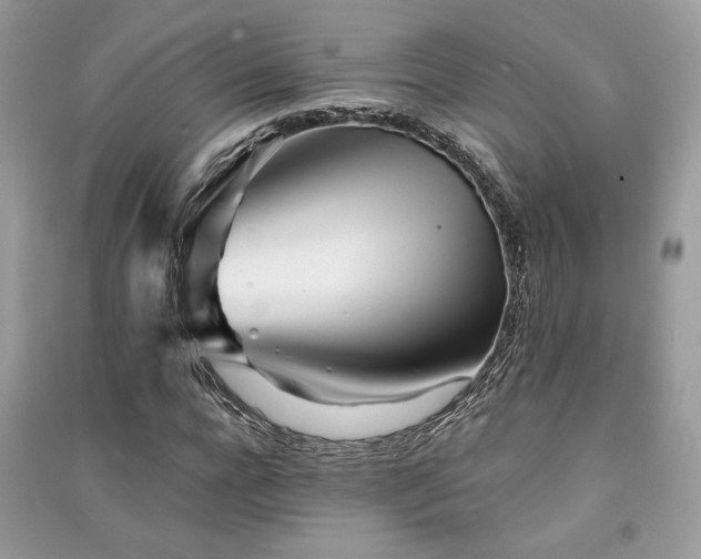 X0000091300920200708101304