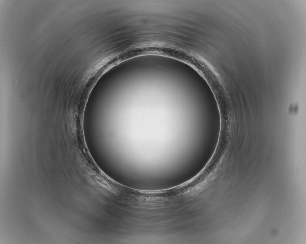 X0000091300921200708101304