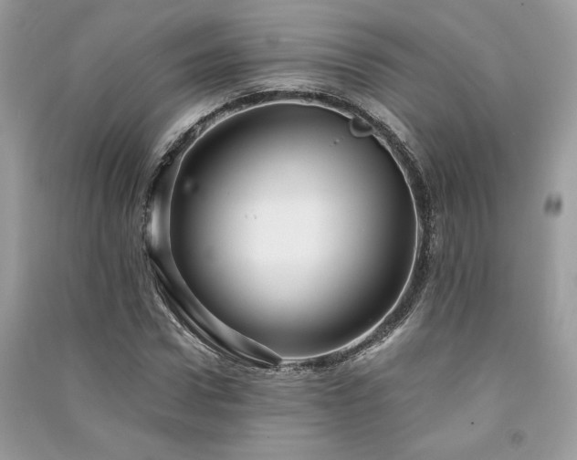 X0000091300922200708101304