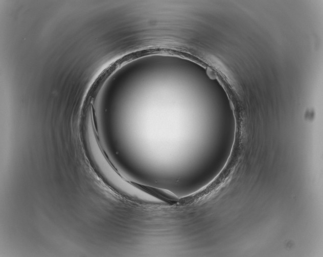 X0000091300924200708101304