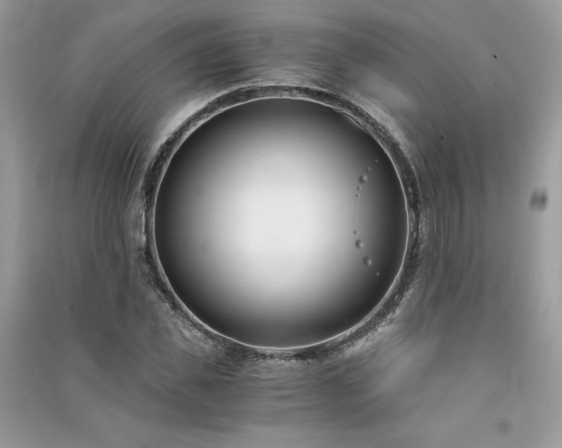 X0000091300925200708101304