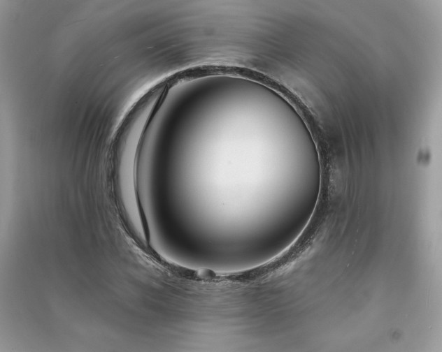 X0000091300926200708101304