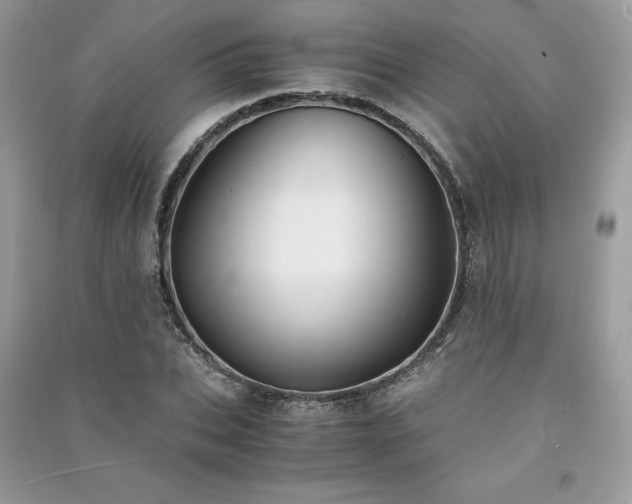 X0000091300927200708101304