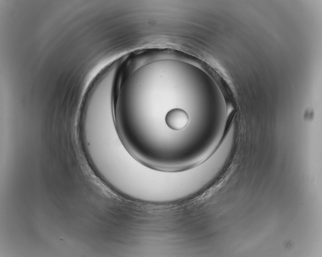 X0000091300928200708101304