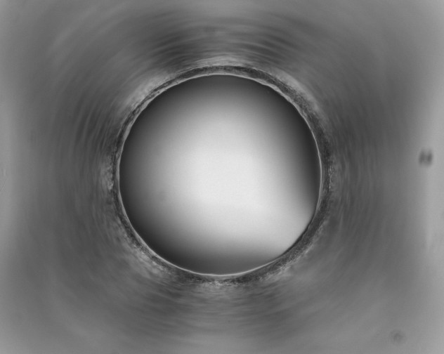 X0000091300929200708101304