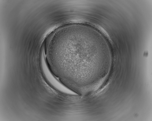 X0000091300930200708101304