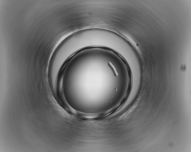 X0000091300932200708101304