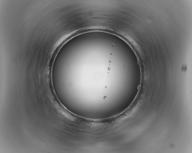 X0000091300933200708101304