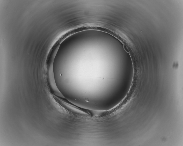 X0000091300934200708101304