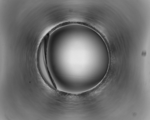 X0000091300935200708101304