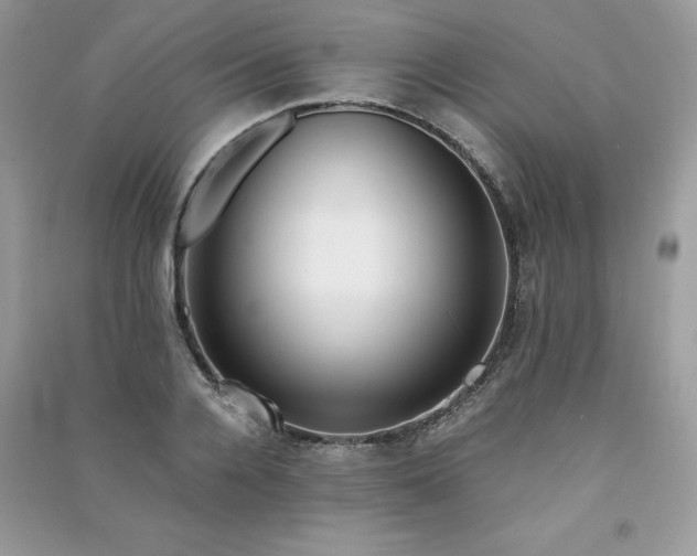 X0000091300936200708101304