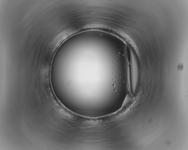 X0000091300937200708101304