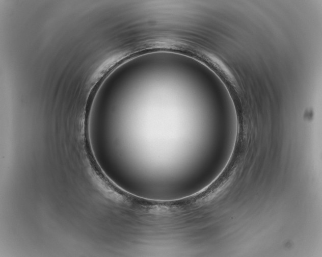 X0000091300938200708101304