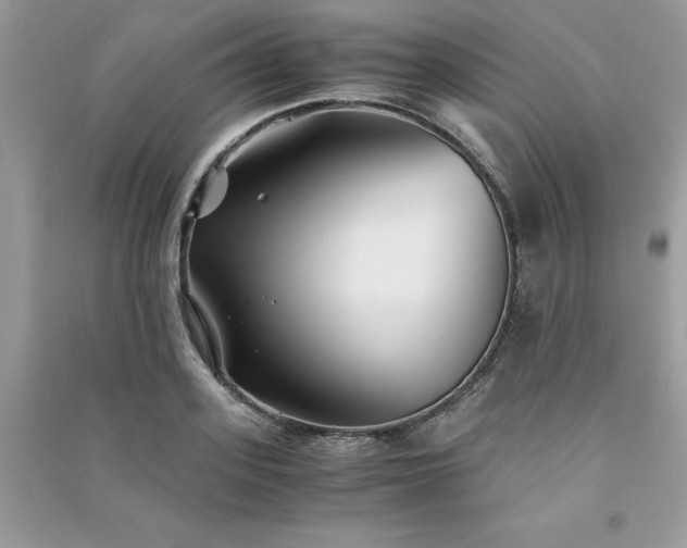X0000091300939200708101304