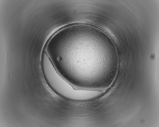 X0000091300940200708101305