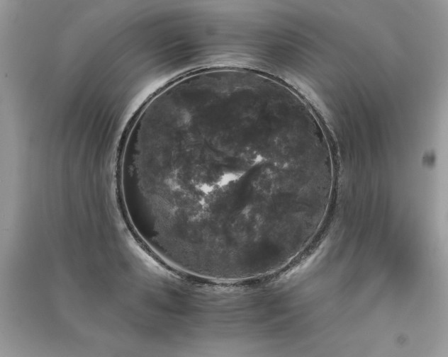 X0000091300941200708101305