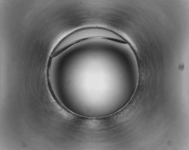 X0000091300943200708101305
