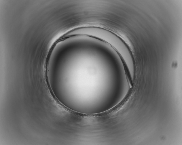 X0000091300944200708101305
