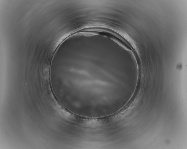 X0000091300945200708101305