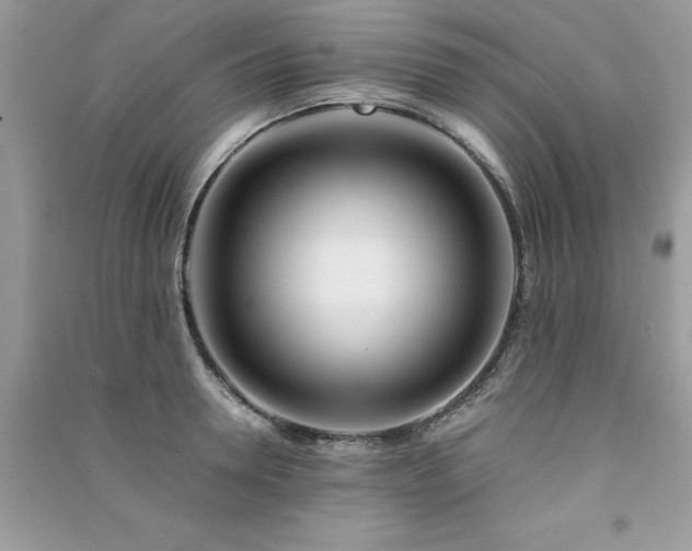 X0000091300946200708101305