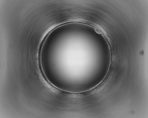 X0000091300947200708101305