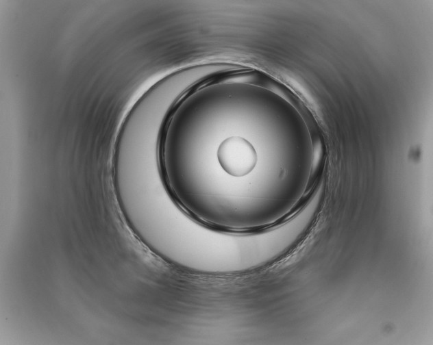 X0000091300948200708101305