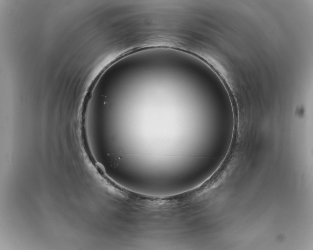 X0000091300949200708101305