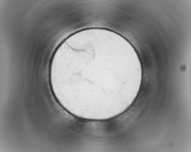 X0000091300950200708101305