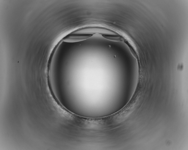 X0000091300951200708101305