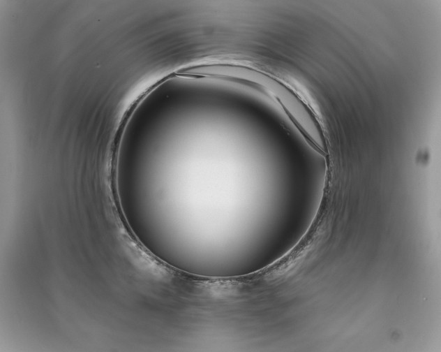 X0000091300952200708101305