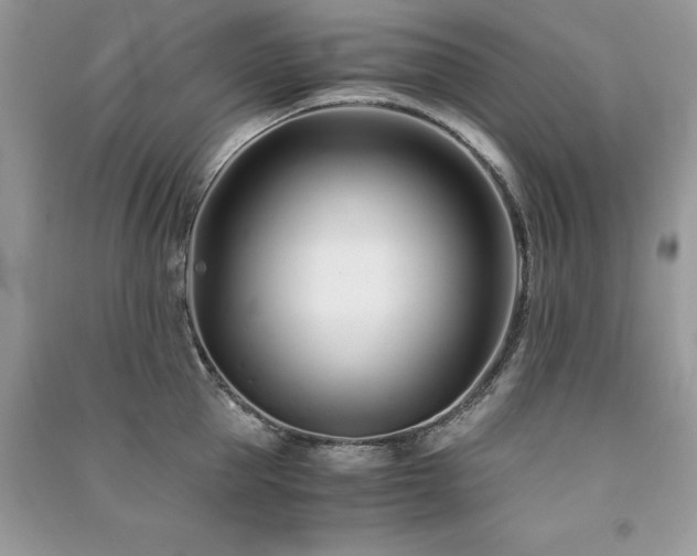 X0000091300953200708101305