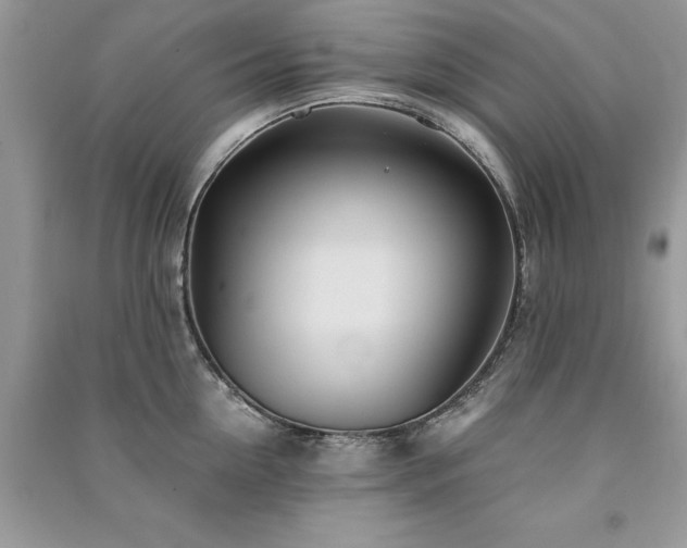 X0000091300954200708101305