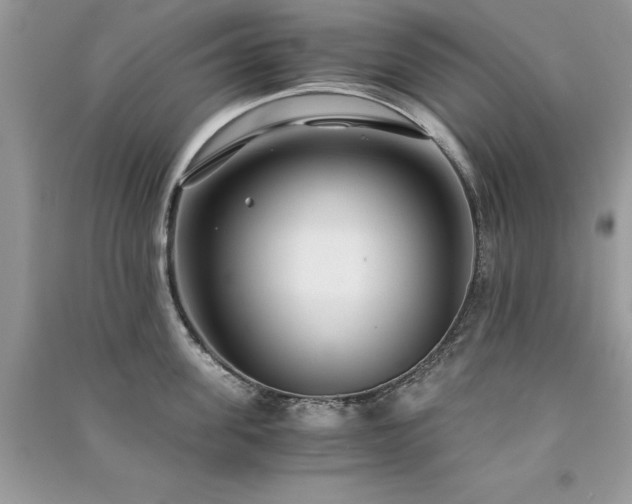 X0000091300955200708101305