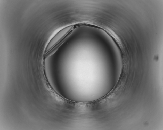 X0000091300956200708101305