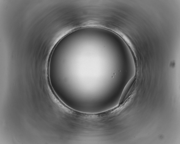 X0000091300957200708101305