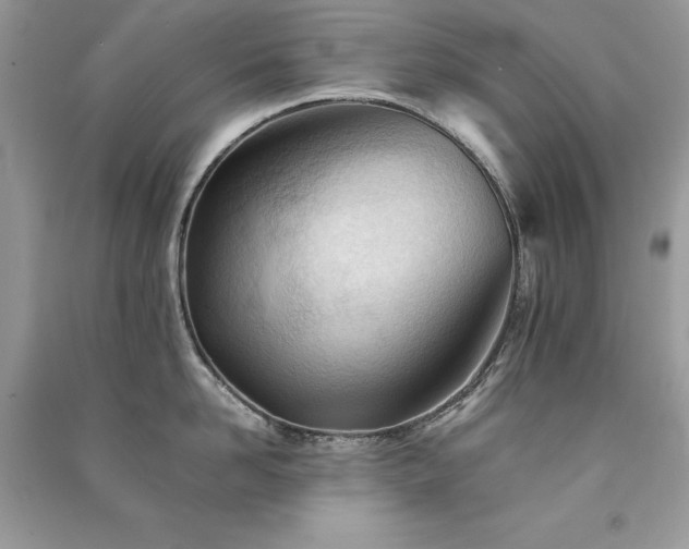 X0000091300958200708101305